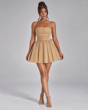 Zoya Mini Dress